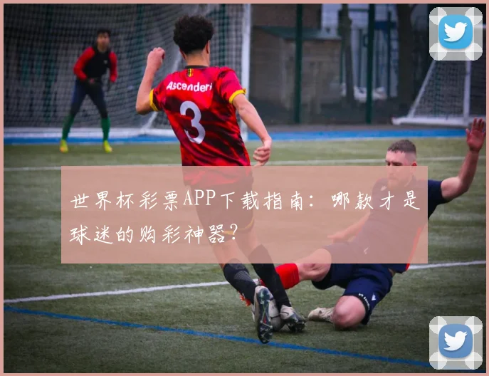 世界杯彩票APP下载指南：哪款才是球迷的购彩神器？