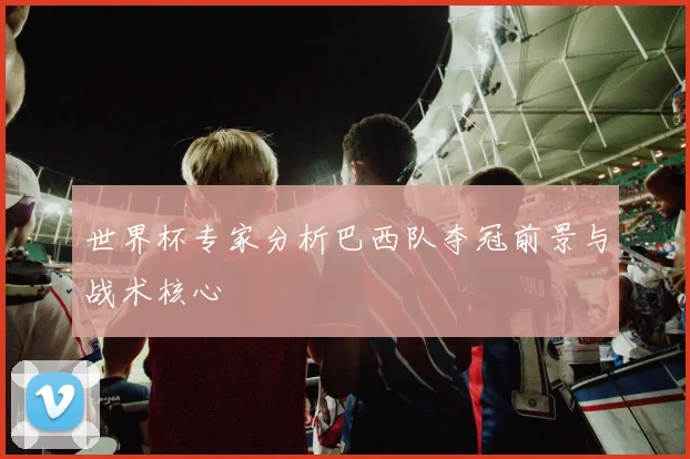 世界杯专家分析巴西队夺冠前景与战术核心