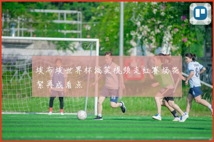 埃布埃世界杯搞笑视频走红赛场花絮再成看点