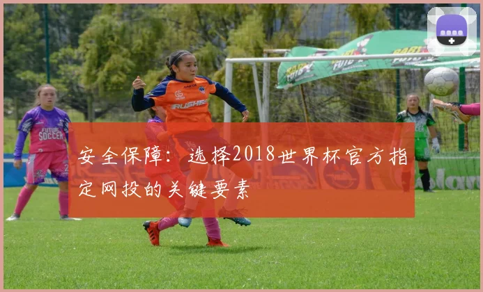 安全保障：选择2018世界杯官方指定网投的关键要素