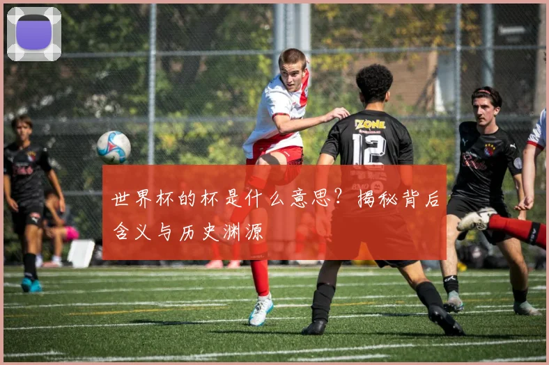 世界杯的杯是什么意思？揭秘背后含义与历史渊源