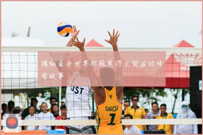 揭秘南非世界杯冠军得主背后的传奇故事